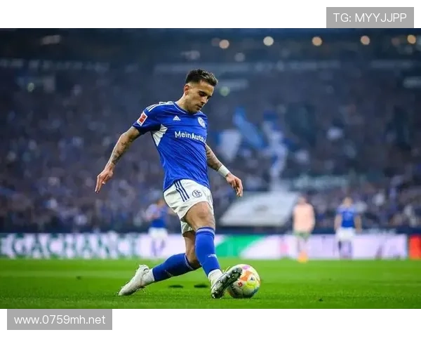 沙尔克球员近期表现稳健，状态持续提升