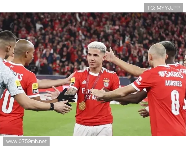 恩佐是否需要更强队友?战术适配与体系支撑分析 恩佐是否需要更强队友?战术适配与体系支撑分析