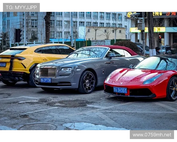 蒋林静训练间隙买了豪车？这日常感觉随时能拍偶像剧了吧